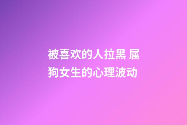 被喜欢的人拉黑 属狗女生的心理波动